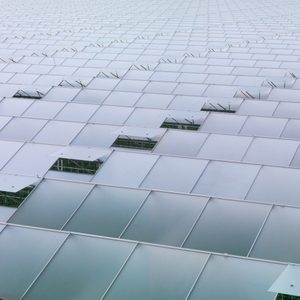 Vidro AR para estufas